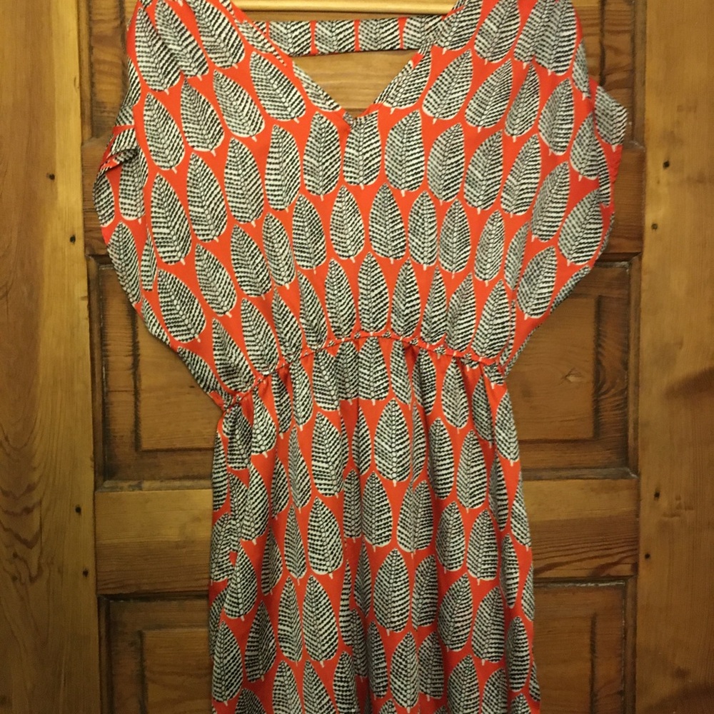 Francesca’s silk like dress 👗